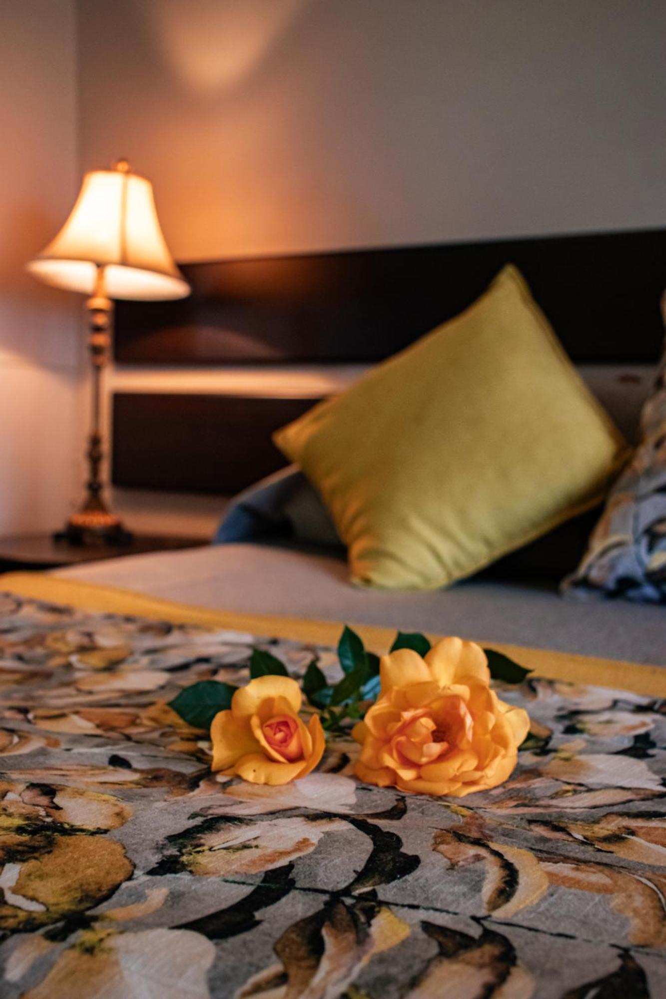 Drakensview Self Catering Lejlighed Winterton Eksteriør billede